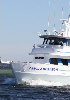 Book a Deep Sea Fishing trip in Panama City beach Florida with Capt Anderson's Marina