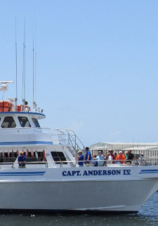 View Captain Anderson's Fishing boats in Panama City Florida, book a fishing trip or dolphin tour. Capt. Anderson III